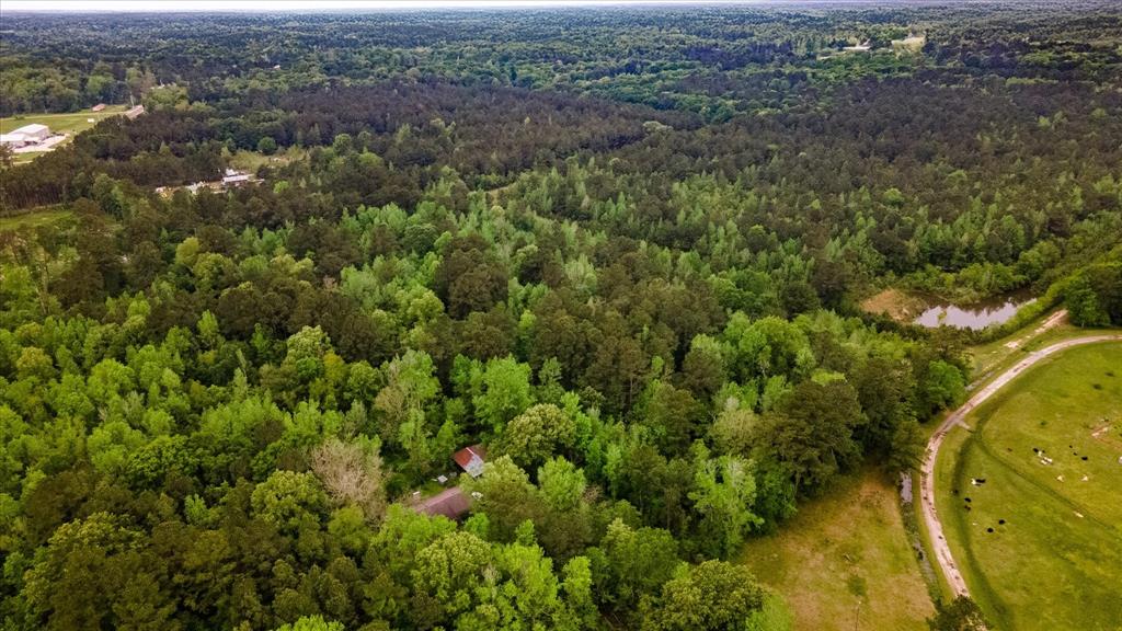 TBD Shaw Road, Batson, Texas image 11