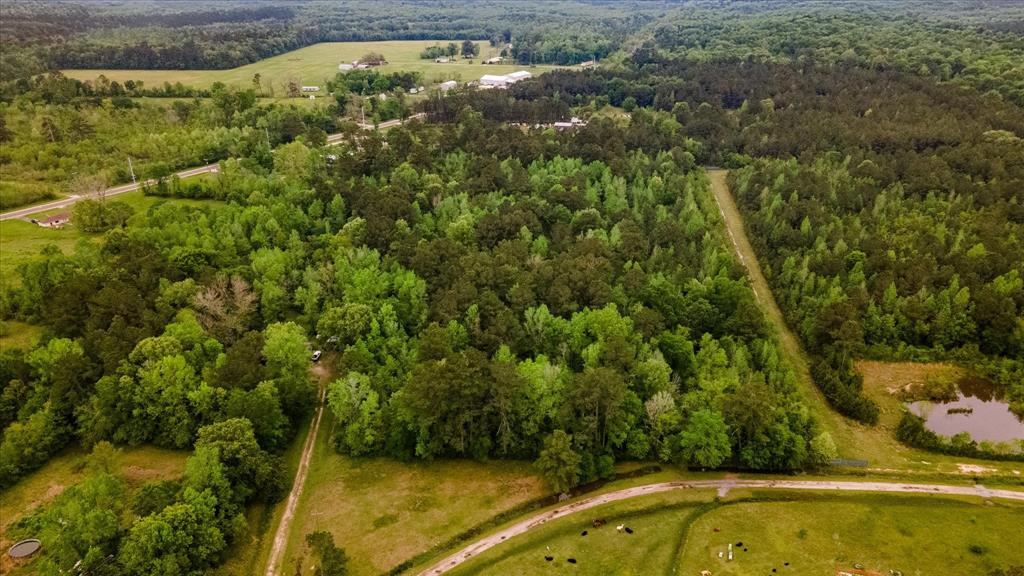 TBD Shaw Road, Batson, Texas image 2