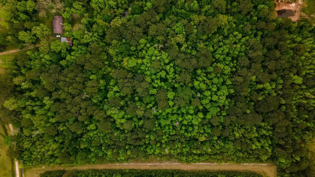 TBD Shaw Road, Batson, Texas image 19