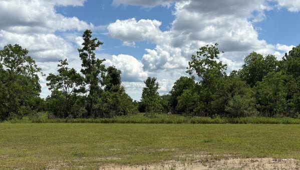 748 Westpointe Drive, Dayton, Texas image 8
