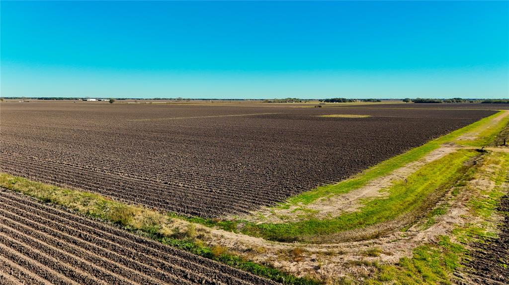 TBD Cr 335 Road, Louise, Texas image 4