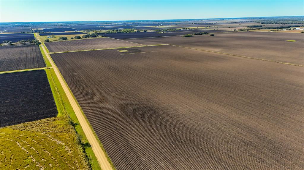 TBD Cr 335 Road, Louise, Texas image 7