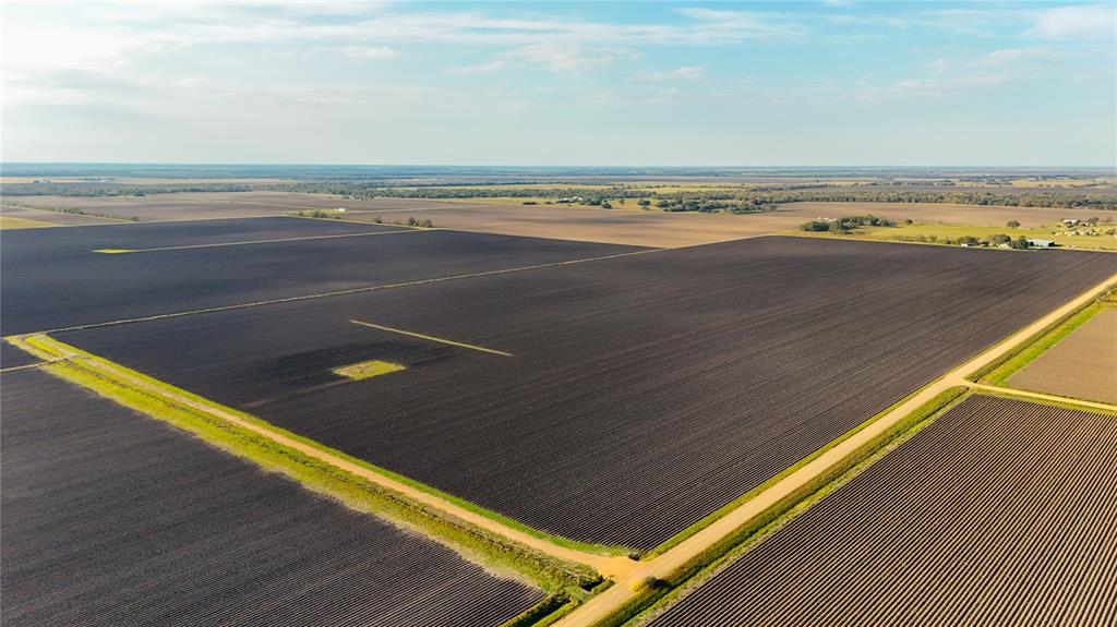 TBD Cr 335 Road, Louise, Texas image 12