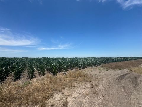 Vacant Land For Sale - TBD Cr 335 Road<br/> Louise, TX 77455