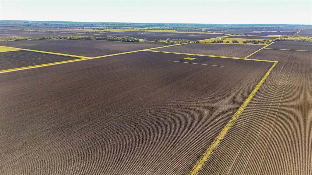 TBD Cr 335 Road, Louise, Texas image 5