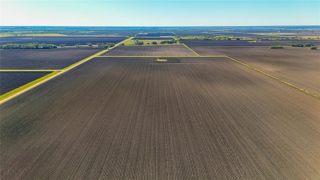 TBD Cr 335 Road, Louise, Texas image 6