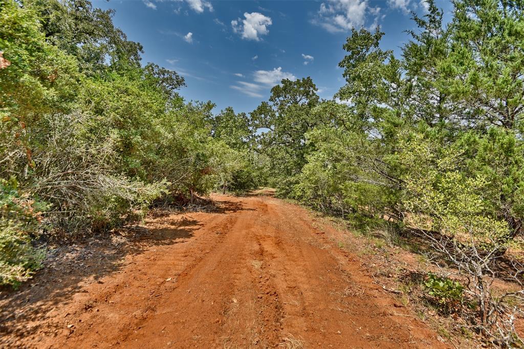 4901 Hudson Hills Drive, Caldwell, Texas image 7