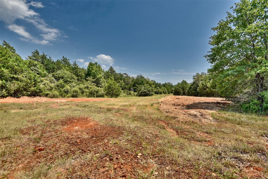 4901 Hudson Hills Drive, Caldwell, Texas image 9