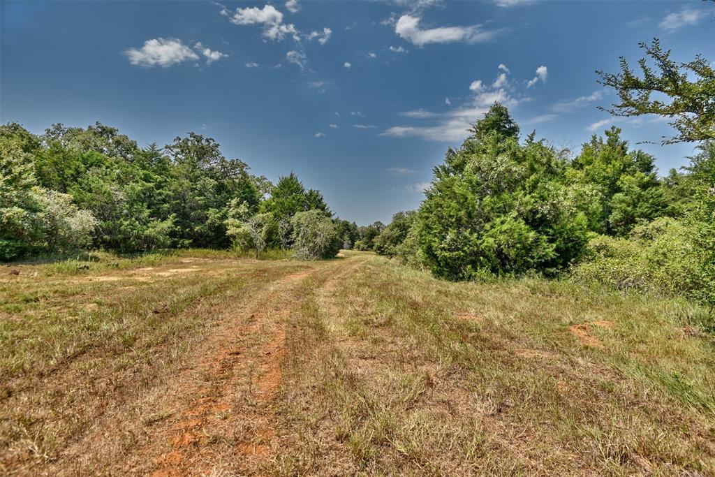 4901 Hudson Hills Drive, Caldwell, Texas image 11