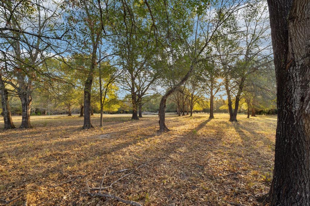 10433 County Road 162, Somerville, Texas image 30