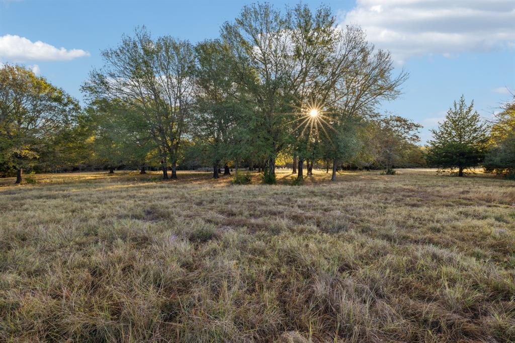 10433 County Road 162, Somerville, Texas image 28