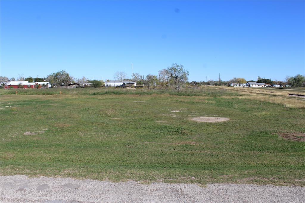 TBD Cotton, Goliad, Texas image 5