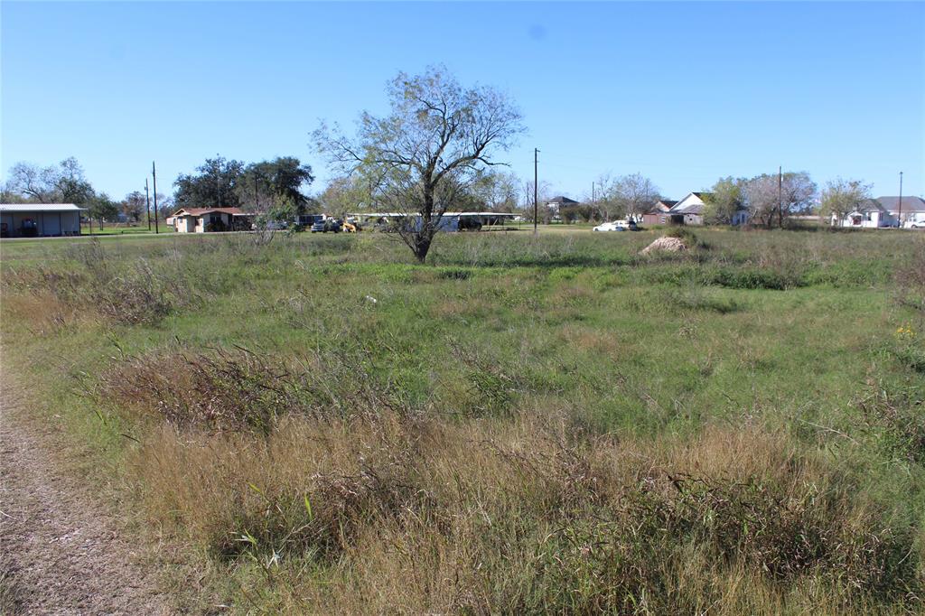 TBD Cotton, Goliad, Texas image 7