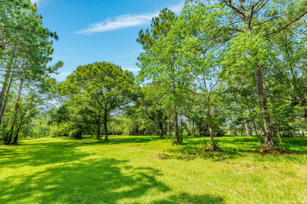 00 W Ryan Drive, Alvin, Texas image 14