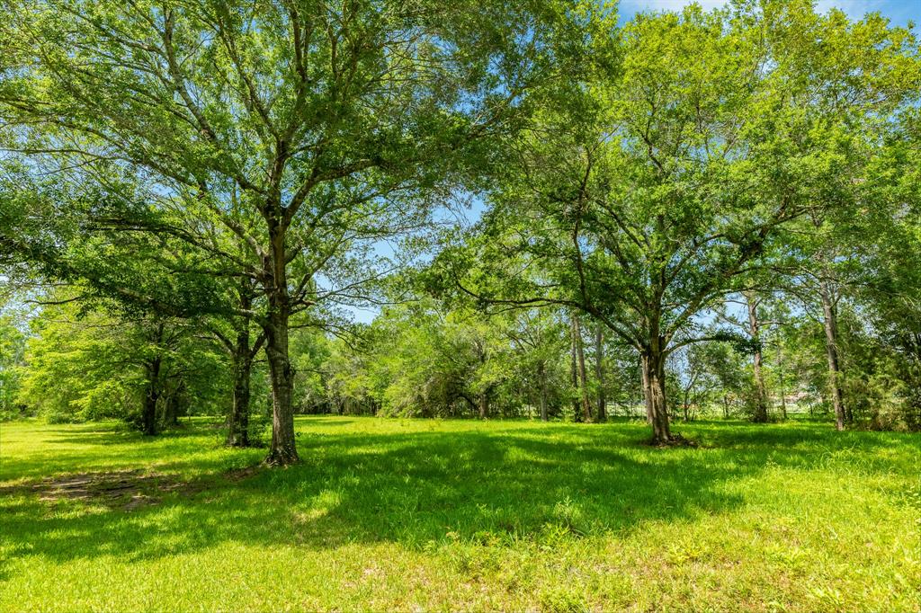 00 W Ryan Drive, Alvin, Texas image 16
