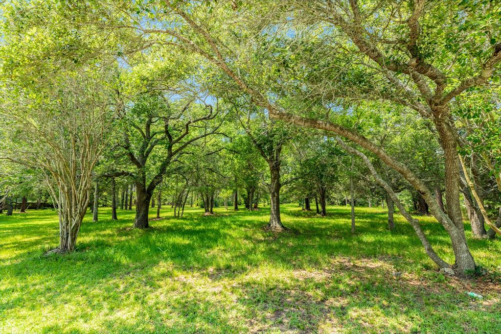 00 W Ryan Drive, Alvin, Texas image 13
