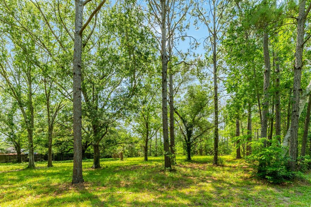 00 W Ryan Drive, Alvin, Texas image 17