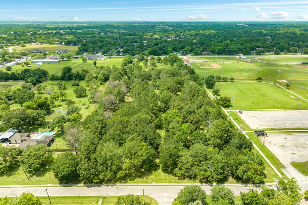 00 W Ryan Drive, Alvin, Texas image 8