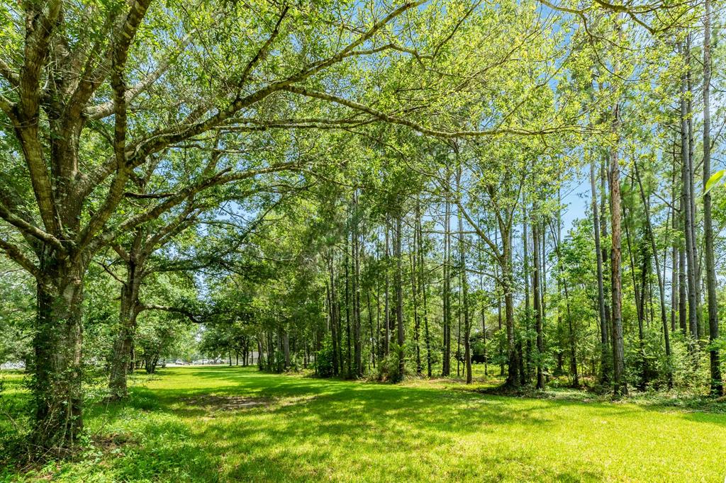 00 W Ryan Drive, Alvin, Texas image 15