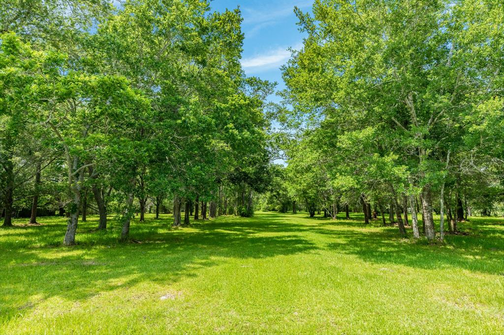 00 W Ryan Drive, Alvin, Texas image 1