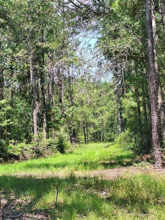 6801 Private Road 8235, Buna, Texas image 1