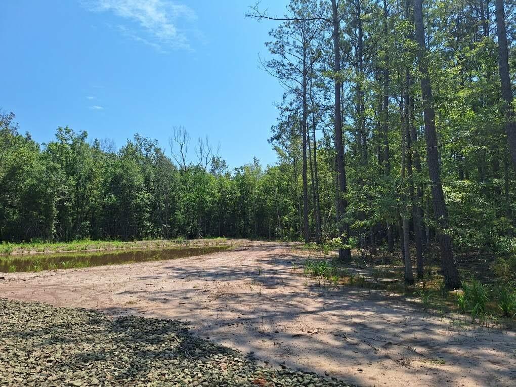 6801 Private Road 8235, Buna, Texas image 6