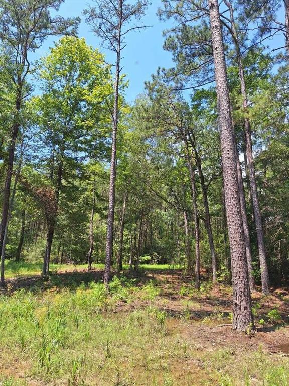 6801 Private Road 8235, Buna, Texas image 3