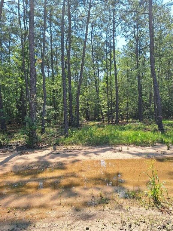 6801 Private Road 8235, Buna, Texas image 2
