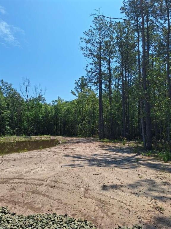6801 Private Road 8235, Buna, Texas image 7