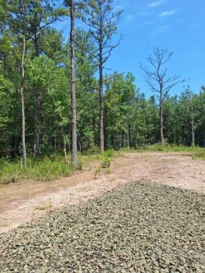 6801 Private Road 8235, Buna, Texas image 8