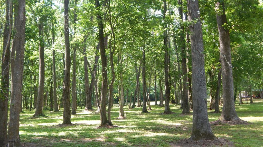 142 County Road 1332, Liberty, Texas image 37