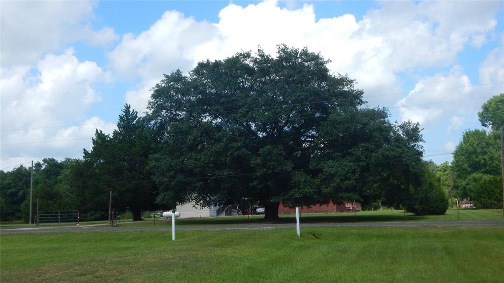 142 County Road 1332, Liberty, Texas image 43