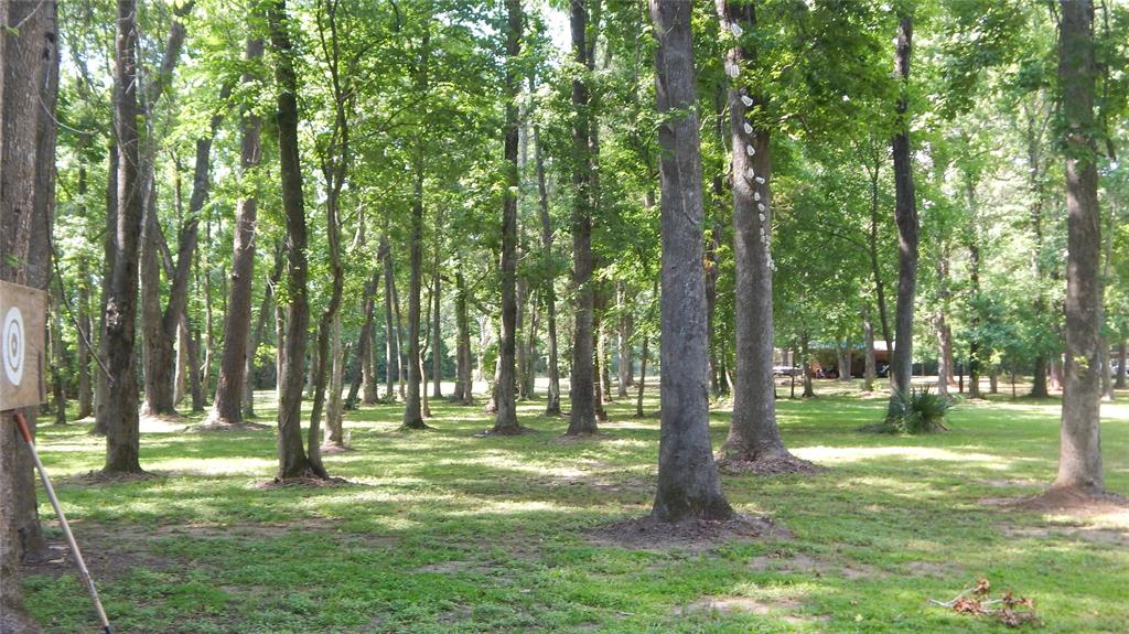 142 County Road 1332, Liberty, Texas image 38