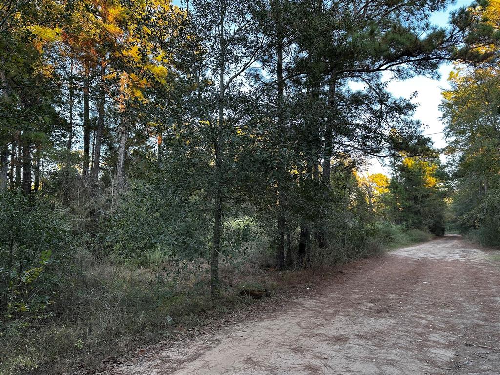 Lot 28 Hoptree Lane, Plantersville, Texas image 9