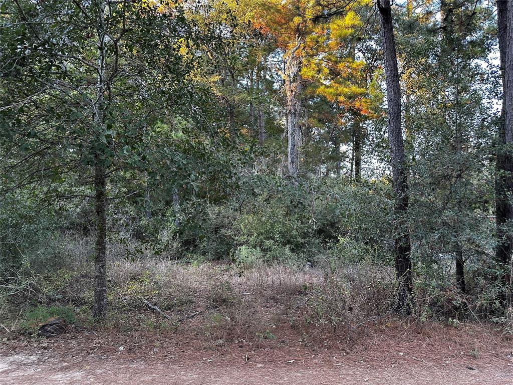 Lot 28 Hoptree Lane, Plantersville, Texas image 7