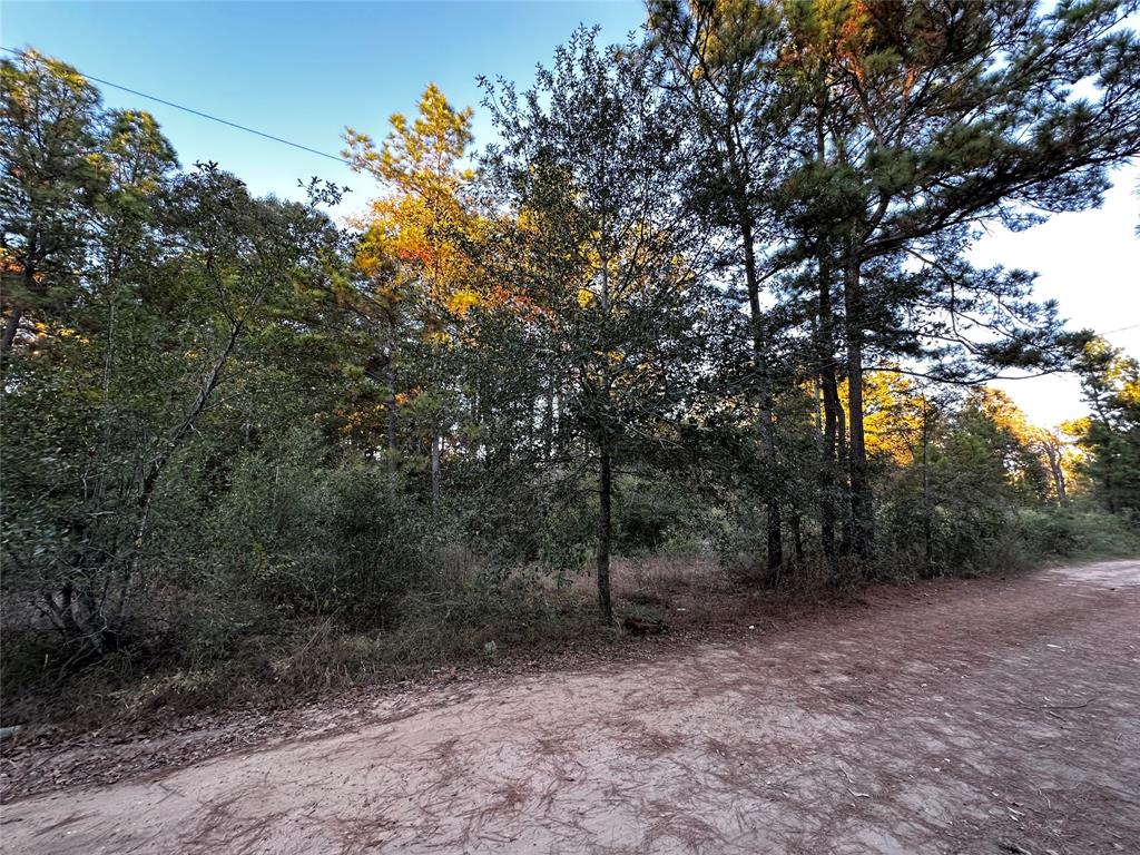 Lot 28 Hoptree Lane, Plantersville, Texas image 5