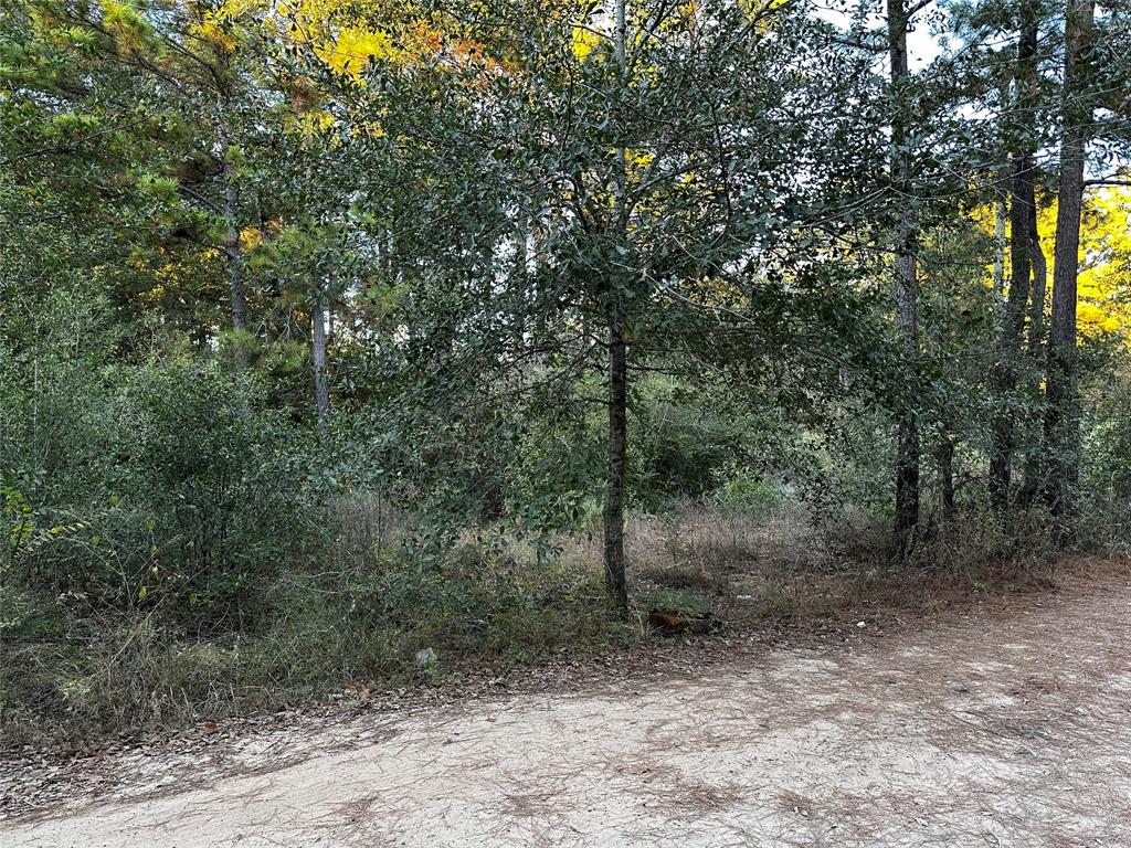 Lot 28 Hoptree Lane, Plantersville, Texas image 4