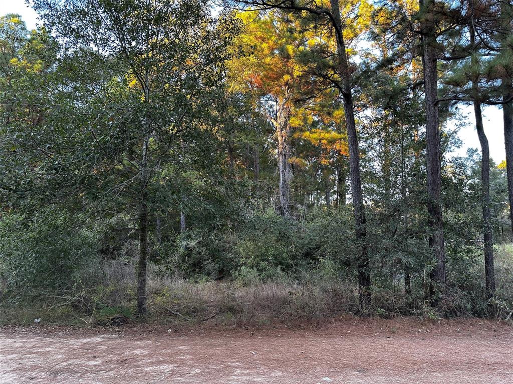 Lot 28 Hoptree Lane, Plantersville, Texas image 1