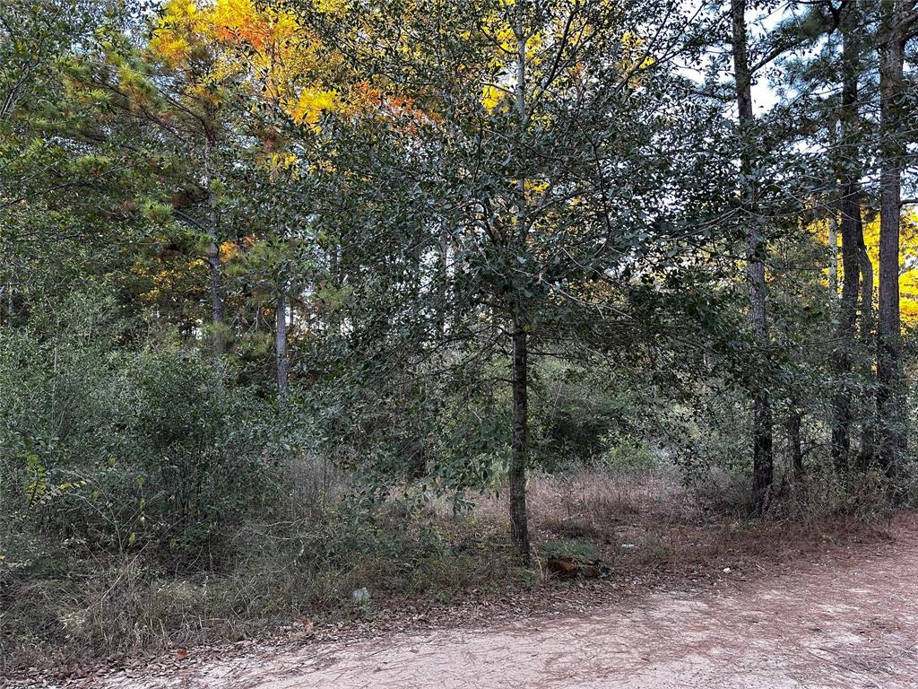 Lot 28 Hoptree Lane, Plantersville, Texas image 6