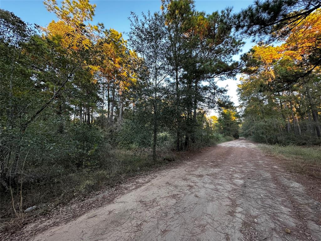 Lot 28 Hoptree Lane, Plantersville, Texas image 10