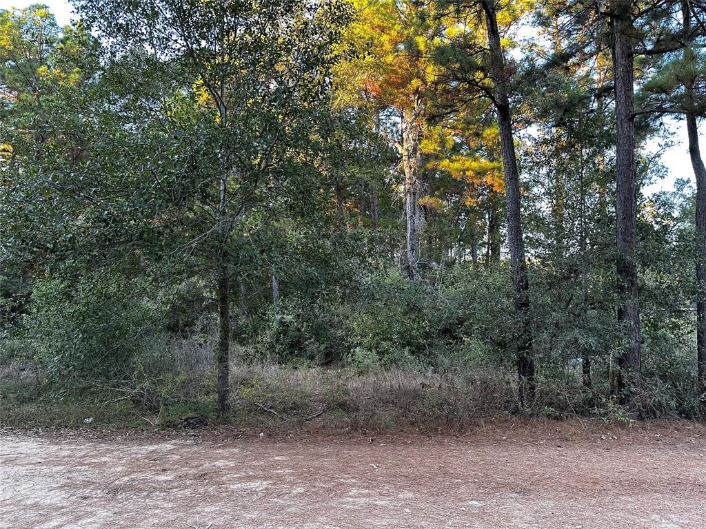 Lot 28 Hoptree Lane, Plantersville, Texas image 2