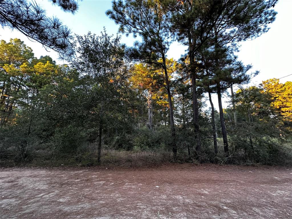 Lot 28 Hoptree Lane, Plantersville, Texas image 8