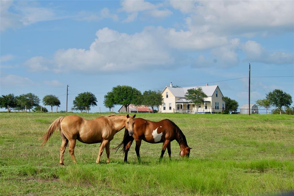 381 County Road 291, Shiner, Texas image 2