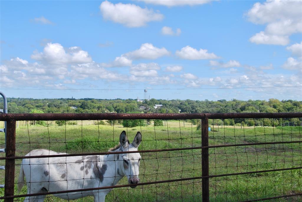 381 County Road 291, Shiner, Texas image 46