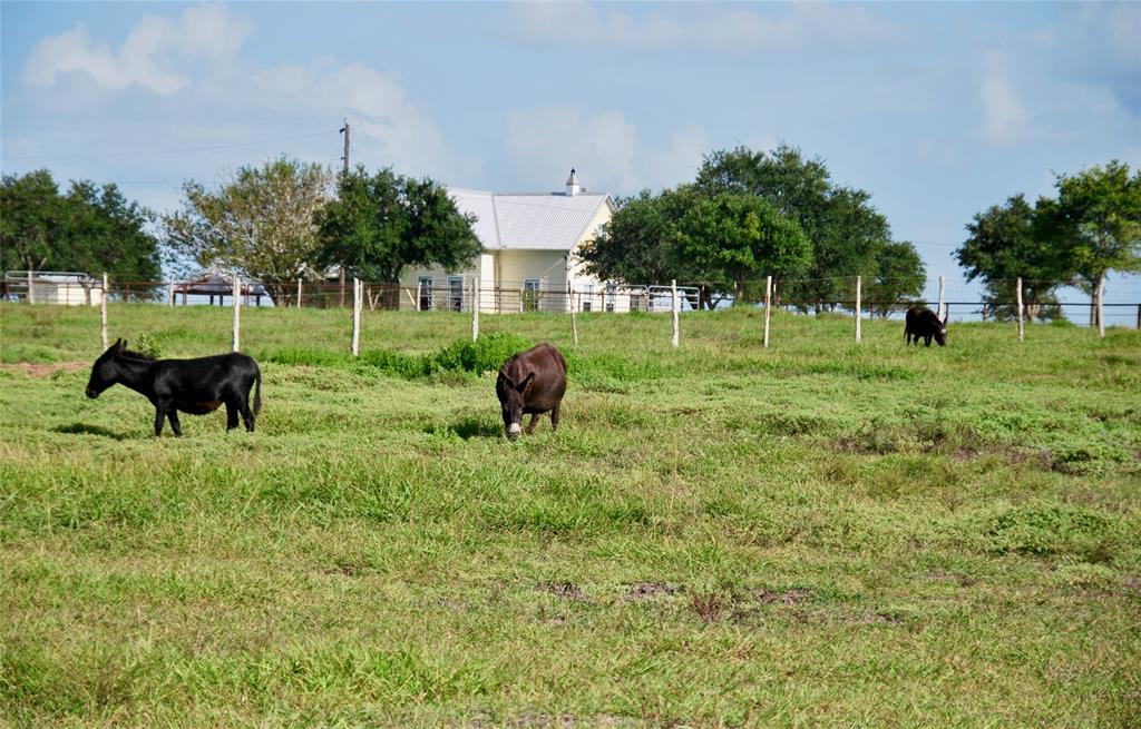 381 County Road 291, Shiner, Texas image 43