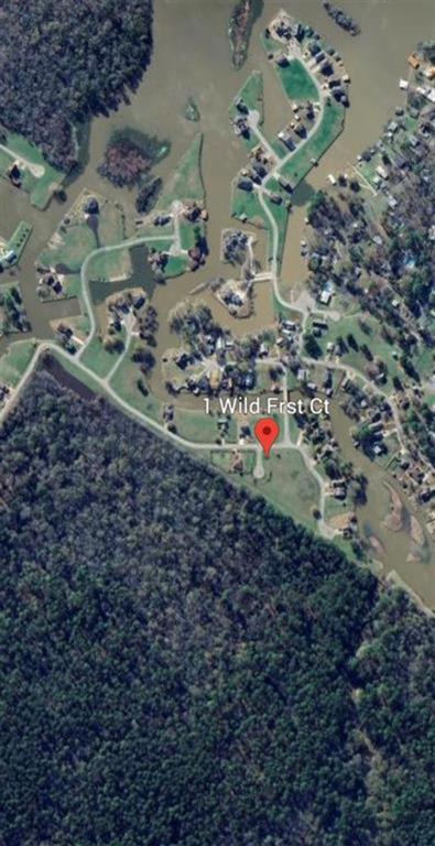 1 Wild Forest Court