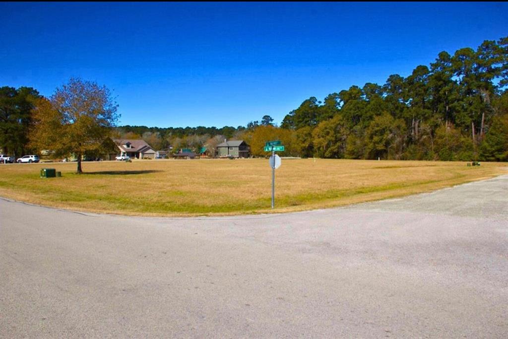 1 Wild Forest Court