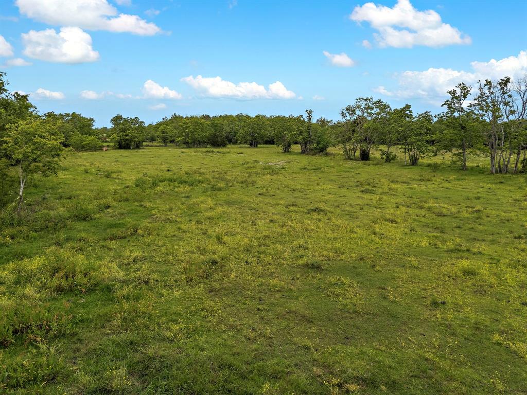 5330 Pearson Road, Santa Fe, Texas image 33