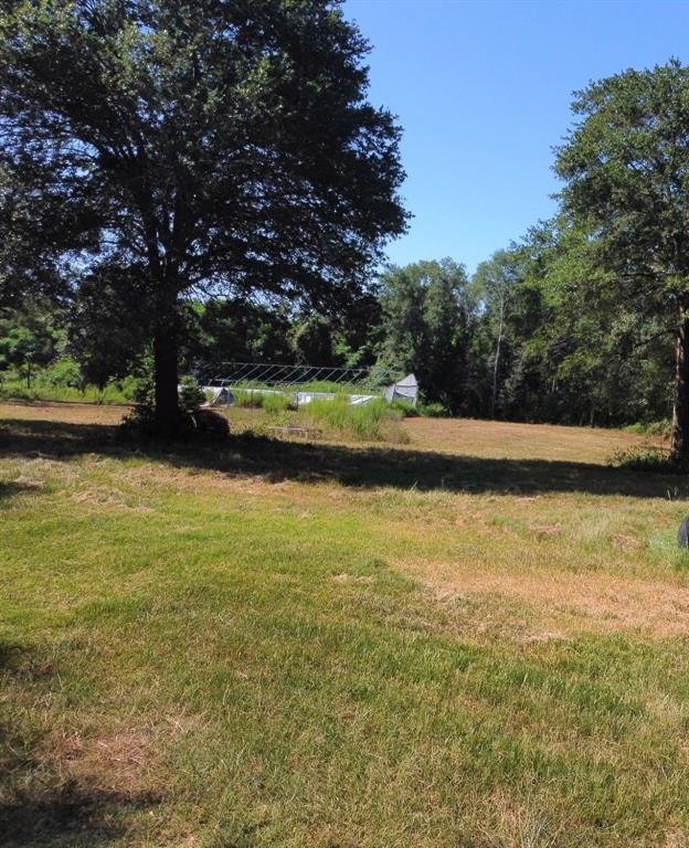 23077 Flukinger Road, Waller, Texas image 10