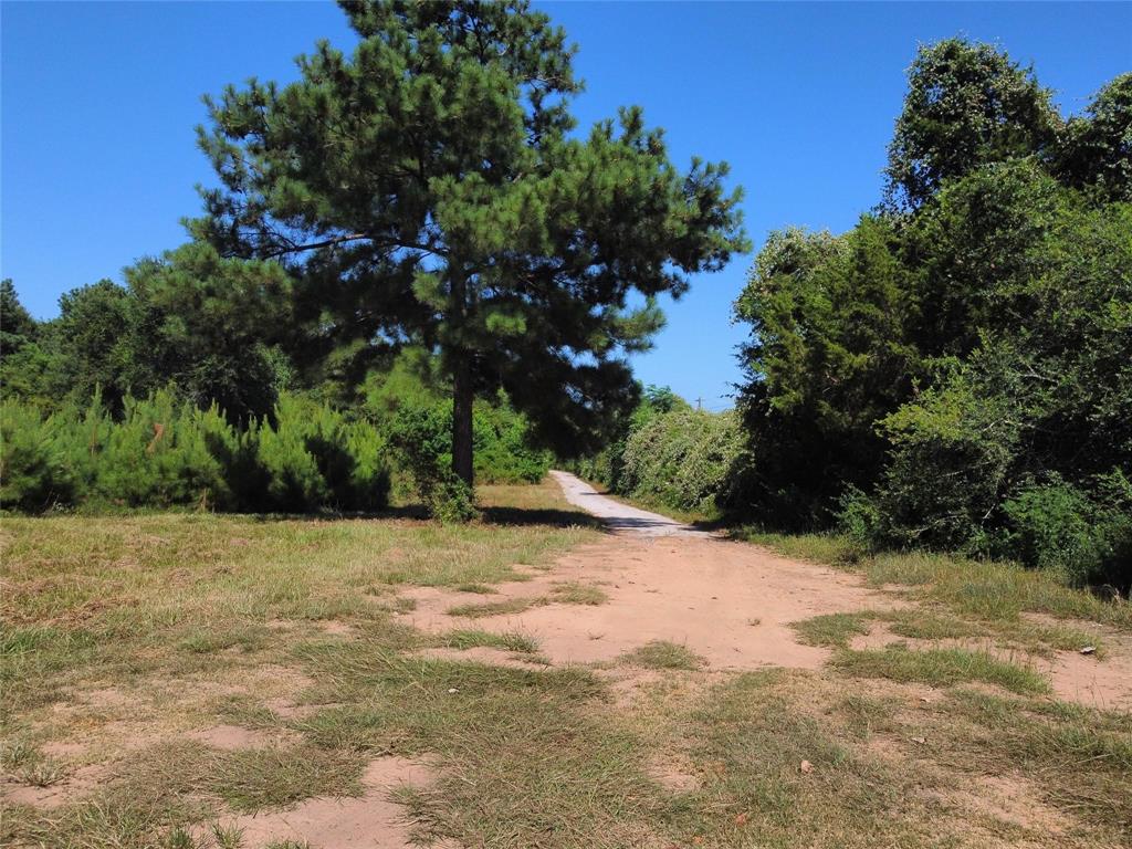 23077 Flukinger Road, Waller, Texas image 6